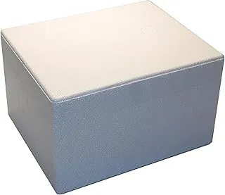 Boîte isotherme en polystyrène/boîte isotherme 310 x 250 x 185 mm – 5,6 l – Glacière pour boissons/aliments vivants