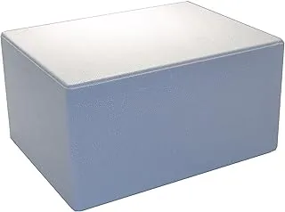 TropicShop Boîte isotherme en polystyrène/polystyrène/boîte isotherme 40 x 30 x 21 cm – 12,3 l – Glacière pour boissons/aliments vivants