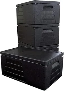 4 x Boite professionnelle isotherme récipient isotherme boite isolante glacière GN 1/1 avec 230 mm de hauteur utile