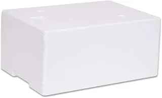 Caisse isotherme en polystyrène, idéale pour l’expédition de denrées alimentaires, capacité 6 kg/6 L