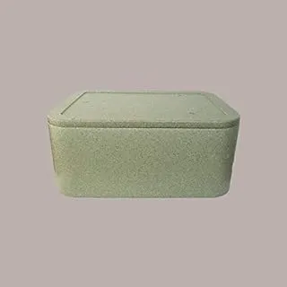 Lucgel Boîte de caisse thermique en polystyrène pour aliments PN4 Vert 55 x 37 H 20 cm