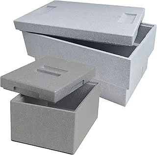 CLIMAPOR Duo de Caisses isotherme - polystyrène - gris - 54,5 x 35 x 30 cm (~ 32 L) et 25,5 x 35 x 21 cm (~ 9 L) - Epaisseur paroi : 2 cm et 1,75 cm
