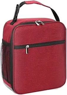 Sac Isotherme Repas Sac à lunch portable imperméable étanche sac fourre-tout isolé refroidisseur thermique boîte à lunch caisse for hommes femmes école pique-nique voyage Pour Bureau ( Blue : Bronze )