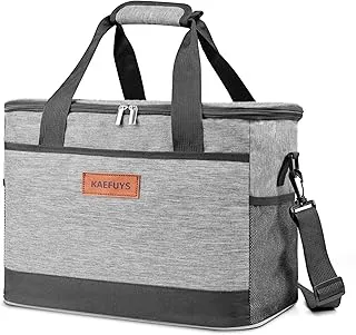 Grand Sac Isotherme Repas 33 L Glacière Isotherme Sac Réfrigéré Pratique Imperméable pour Hommes Femmes Pique-Nique Camping Plage Voyage