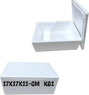 Boîte thermique en polystyrène EPS, 17 x 17 x 11 cm, récipient isotherme avec couvercle, 1 kg, pour expéditions et aliments