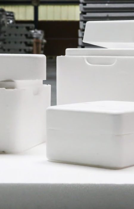 Emballage isotherme en polystyrène expansé blanc de la gamme Frobox PSE
